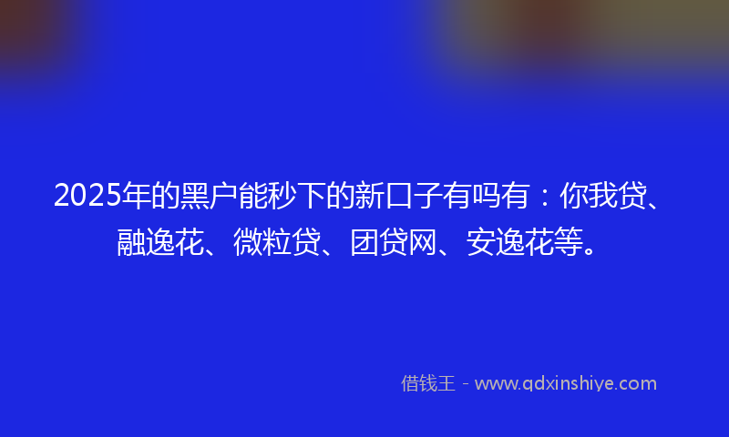 2025年的黑户能秒下的新口子有吗有：你我贷、融逸花、微粒贷、团贷网、安逸花等。
