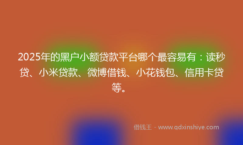 2025年的黑户小额贷款平台哪个最容易有：读秒贷、小米贷款、微博借钱、小花钱包、信用卡贷等。