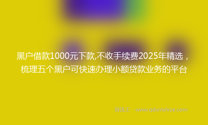 黑户借款1000元下款,不收手续费2025年精选，梳理五个黑户可快速办理小额贷款业务的平台