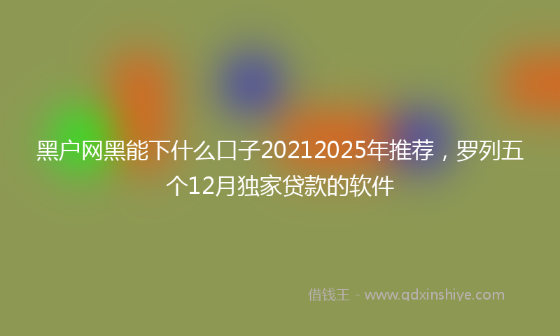 黑户网黑能下什么口子20212025年推荐，罗列五个12月独家贷款的软件