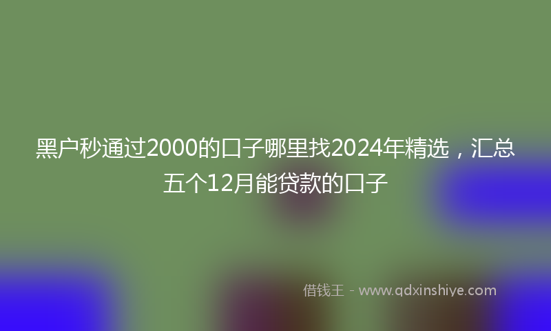 黑户秒通过2000的口子哪里找2024年精选，汇总五个12月能贷款的口子