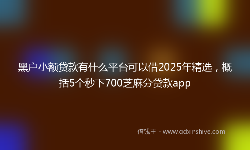 黑户小额贷款有什么平台可以借2025年精选，概括5个秒下700芝麻分贷款app