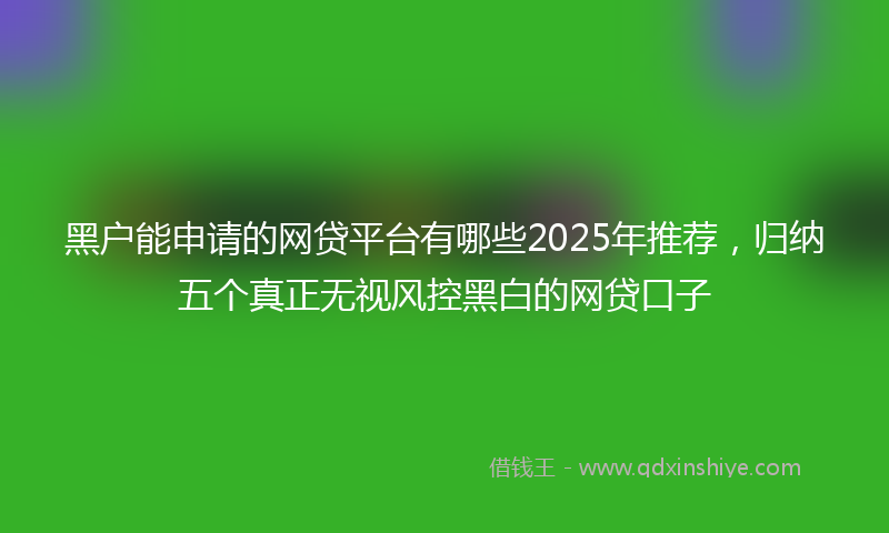 黑户能申请的网贷平台有哪些2025年推荐，归纳五个真正无视风控黑白的网贷口子