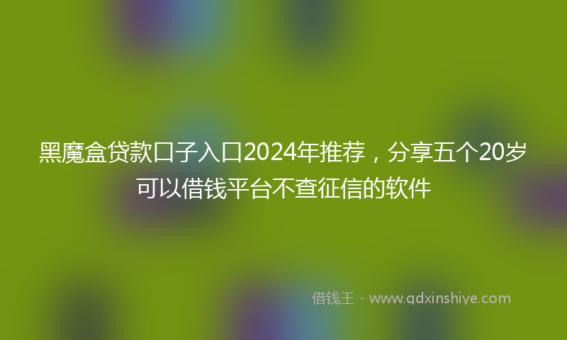 黑魔盒贷款口子入口2024年推荐，分享五个20岁可以借钱平台不查征信的软件