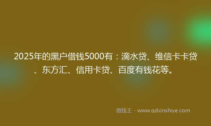 2025年的黑户借钱5000有：滴水贷、维信卡卡贷、东方汇、信用卡贷、百度有钱花等。