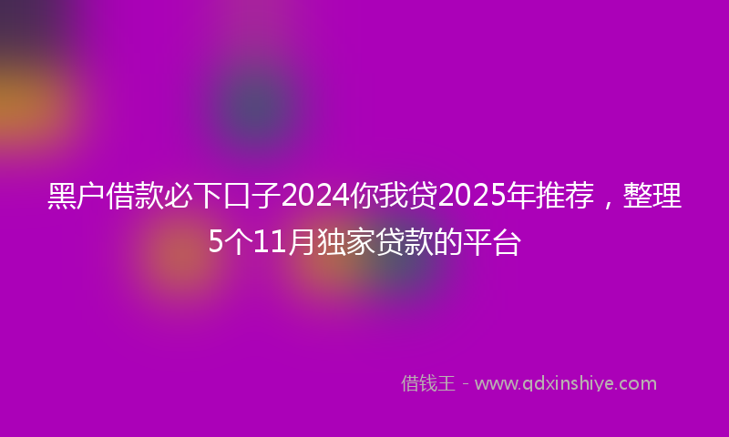 黑户借款必下口子2024你我贷2025年推荐，整理5个11月独家贷款的平台