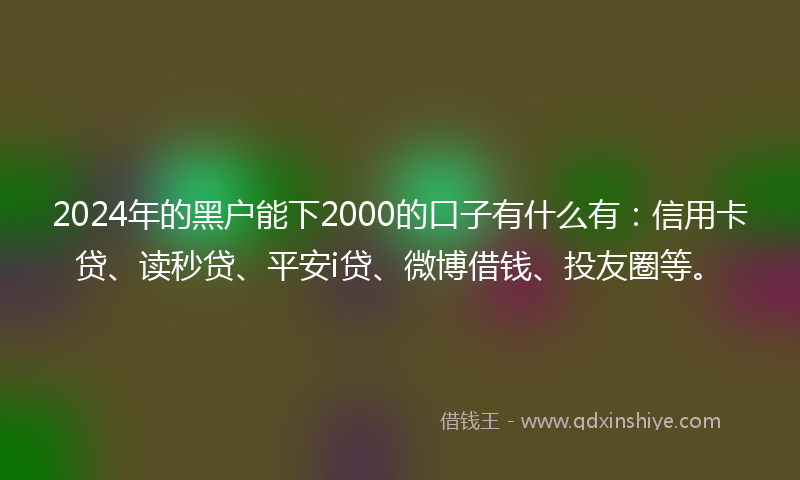 2024年的黑户能下2000的口子有什么有：信用卡贷、读秒贷、平安i贷、微博借钱、投友圈等。