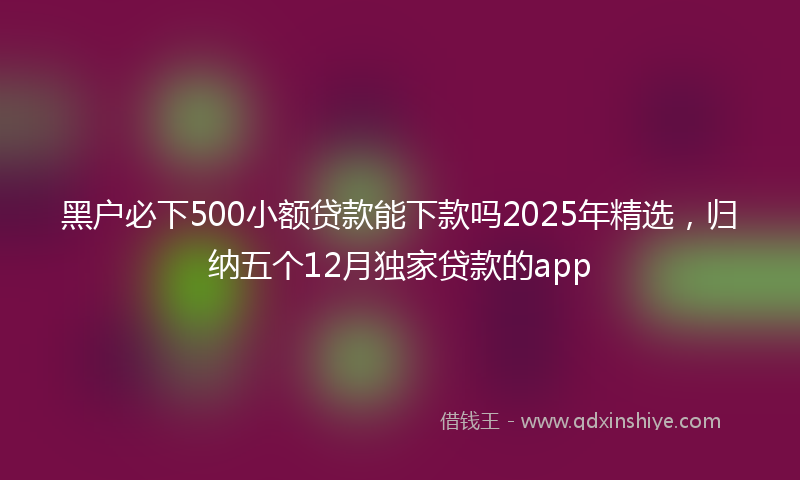 黑户必下500小额贷款能下款吗2025年精选，归纳五个12月独家贷款的app