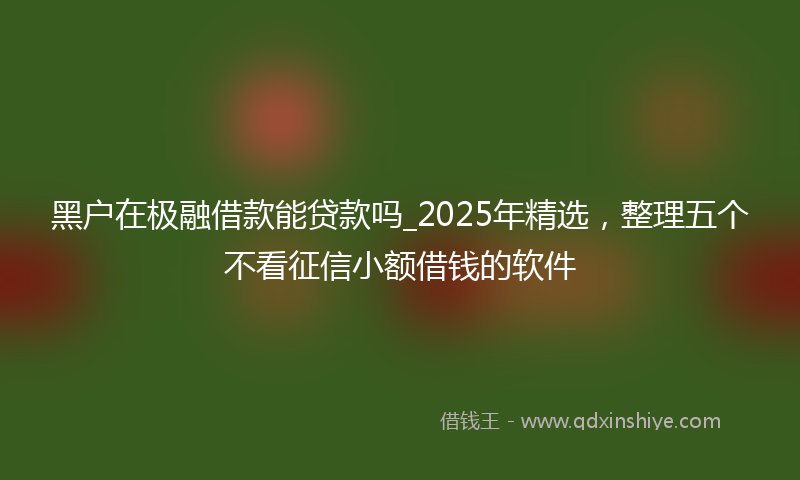 黑户在极融借款能贷款吗_2025年精选，整理五个不看征信小额借钱的软件