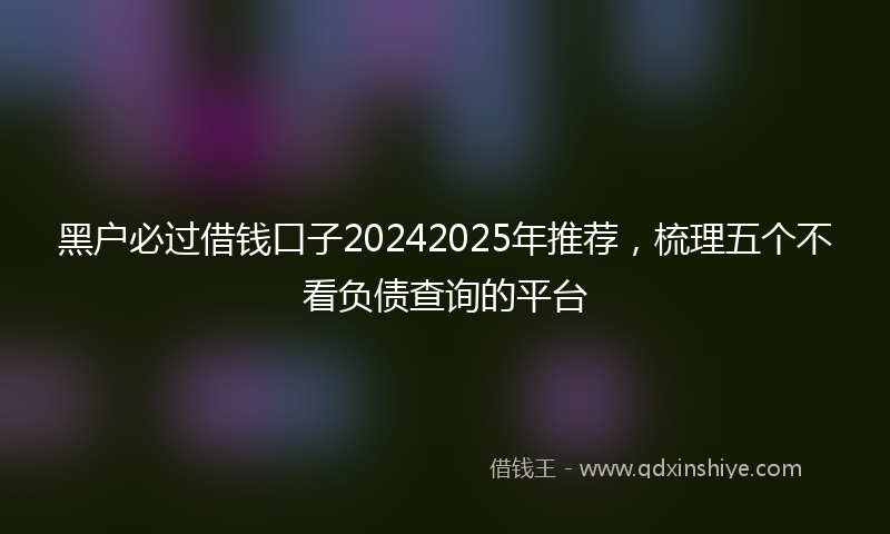 黑户必过借钱口子20242025年推荐，梳理五个不看负债查询的平台