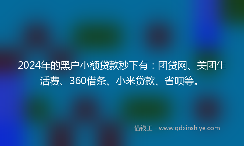 2024年的黑户小额贷款秒下有：团贷网、美团生活费、360借条、小米贷款、省呗等。