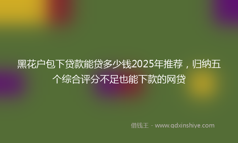 黑花户包下贷款能贷多少钱2025年推荐，归纳五个综合评分不足也能下款的网贷