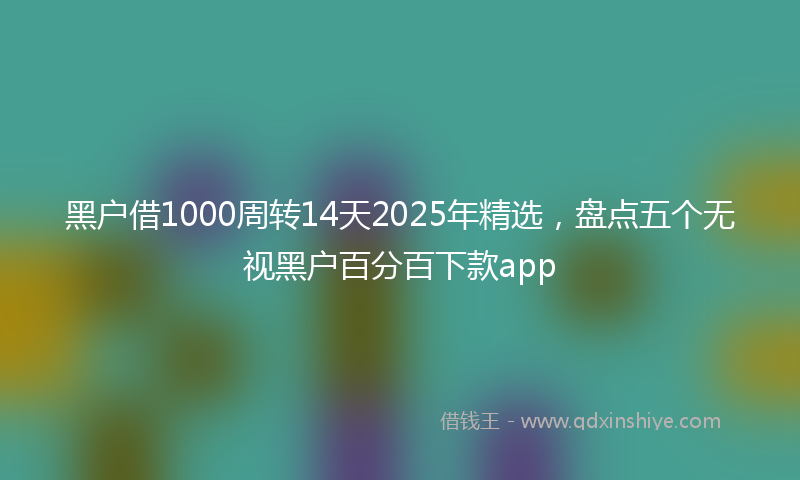 黑户借1000周转14天2025年精选，盘点五个无视黑户百分百下款app