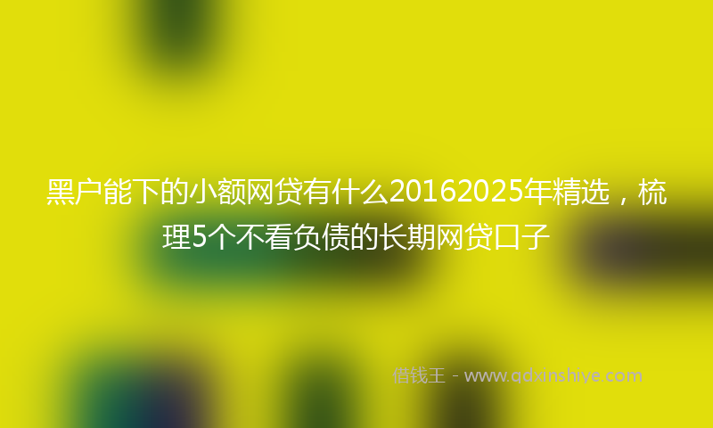 黑户能下的小额网贷有什么20162025年精选，梳理5个不看负债的长期网贷口子