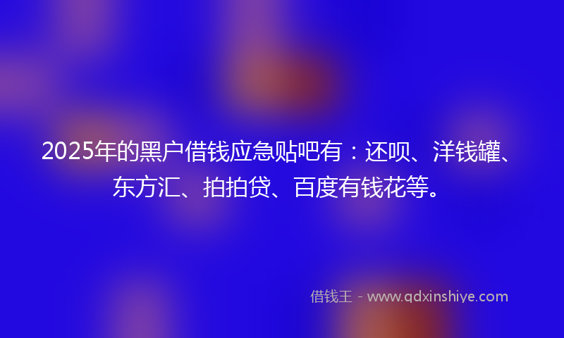 2025年的黑户借钱应急贴吧有：还呗、洋钱罐、东方汇、拍拍贷、百度有钱花等。