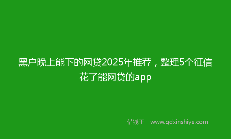 黑户晚上能下的网贷2025年推荐，整理5个征信花了能网贷的app