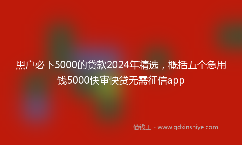 黑户必下5000的贷款2024年精选，概括五个急用钱5000快审快贷无需征信app