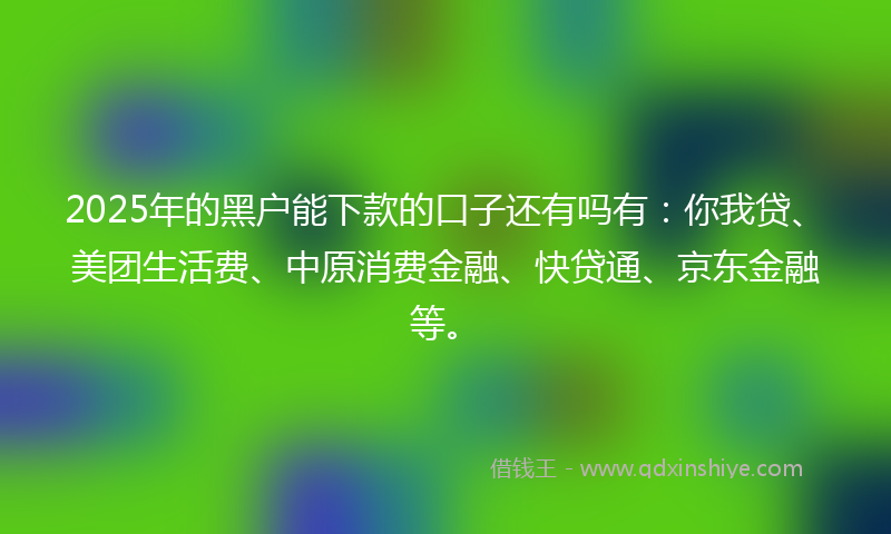 2025年的黑户能下款的口子还有吗有：你我贷、美团生活费、中原消费金融、快贷通、京东金融等。