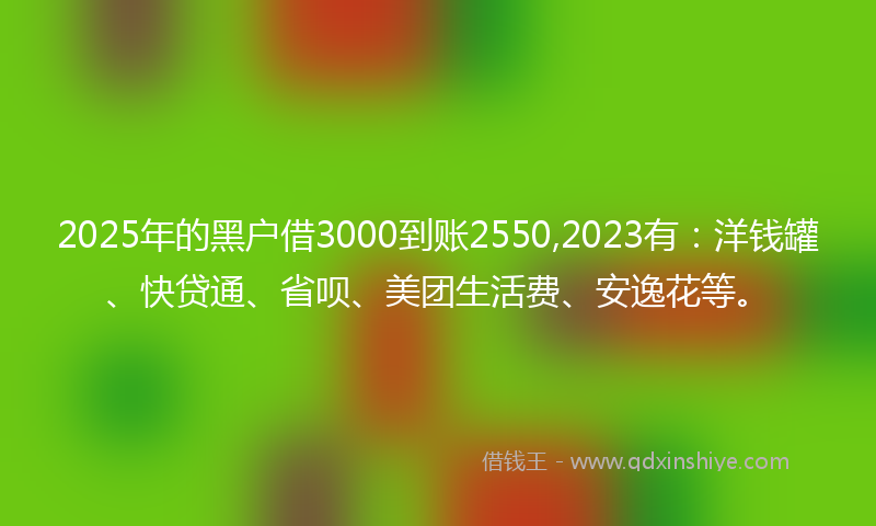 2025年的黑户借3000到账2550,2023有：洋钱罐、快贷通、省呗、美团生活费、安逸花等。