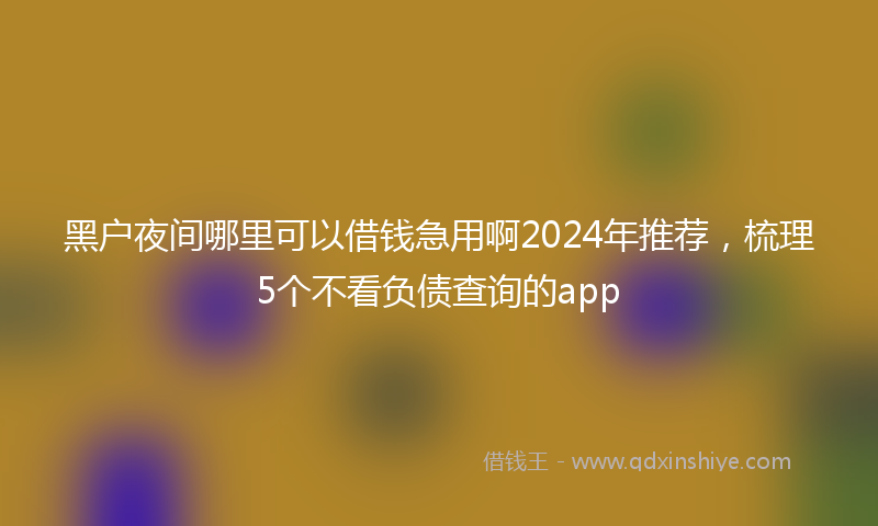 黑户夜间哪里可以借钱急用啊2024年推荐，梳理5个不看负债查询的app