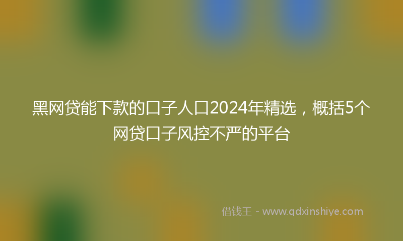 黑网贷能下款的口子人口2024年精选，概括5个网贷口子风控不严的平台