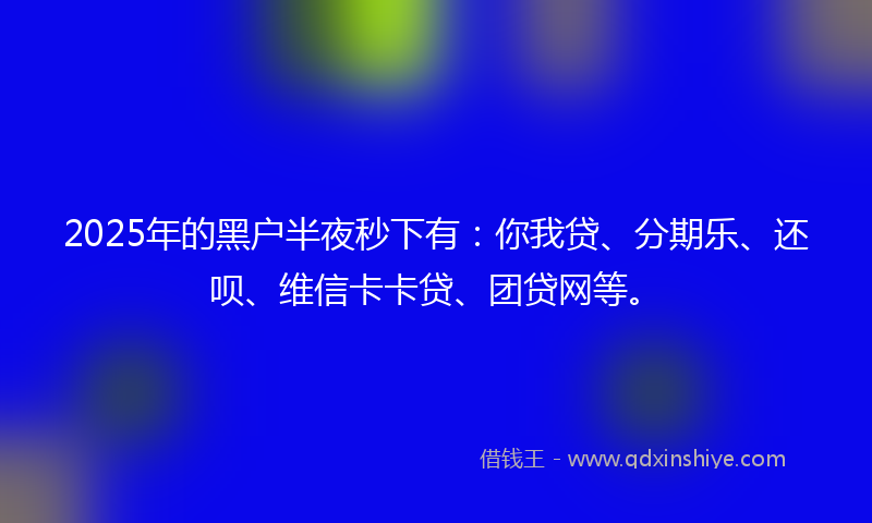 2025年的黑户半夜秒下有：你我贷、分期乐、还呗、维信卡卡贷、团贷网等。