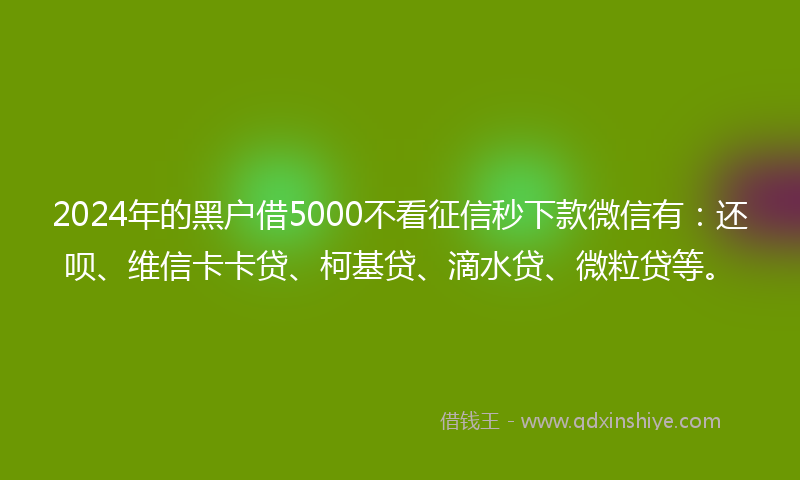 2024年的黑户借5000不看征信秒下款微信有：还呗、维信卡卡贷、柯基贷、滴水贷、微粒贷等。