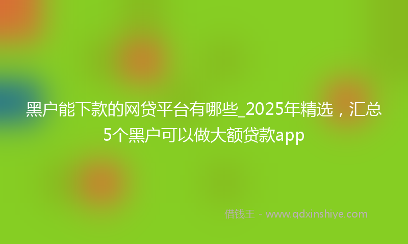 黑户能下款的网贷平台有哪些_2025年精选，汇总5个黑户可以做大额贷款app