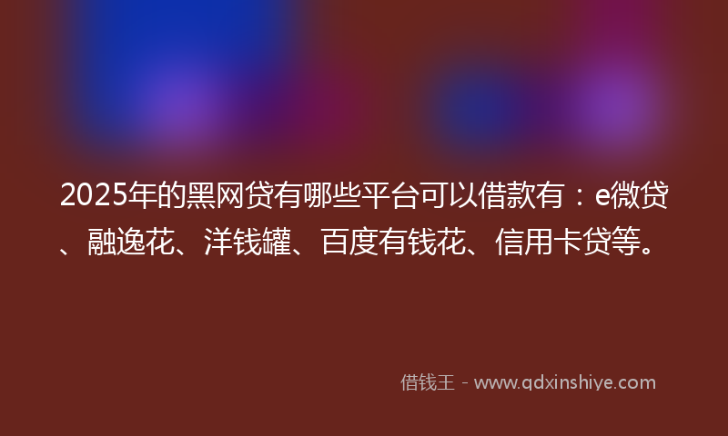 2025年的黑网贷有哪些平台可以借款有：e微贷、融逸花、洋钱罐、百度有钱花、信用卡贷等。