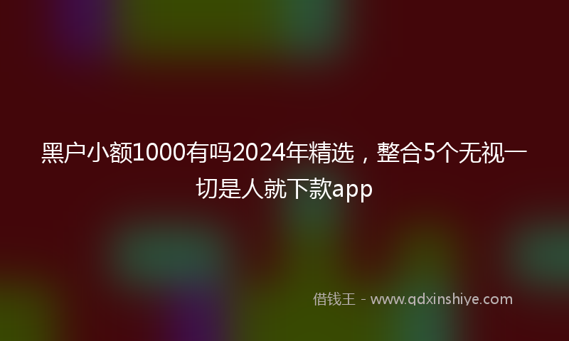 黑户小额1000有吗2024年精选，整合5个无视一切是人就下款app