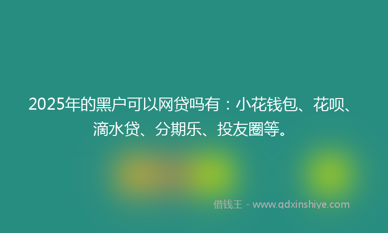 2025年的黑户可以网贷吗有：小花钱包、花呗、滴水贷、分期乐、投友圈等。