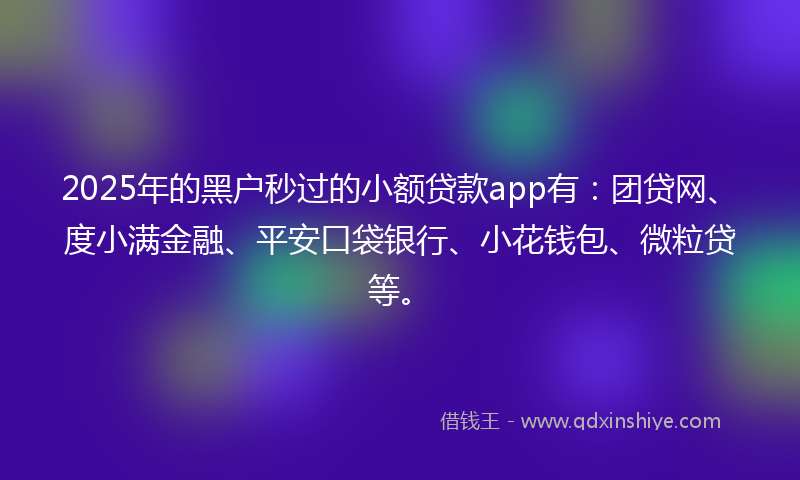 2025年的黑户秒过的小额贷款app有：团贷网、度小满金融、平安口袋银行、小花钱包、微粒贷等。