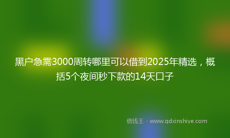 黑户急需3000周转哪里可以借到2025年精选，概括5个夜间秒下款的14天口子