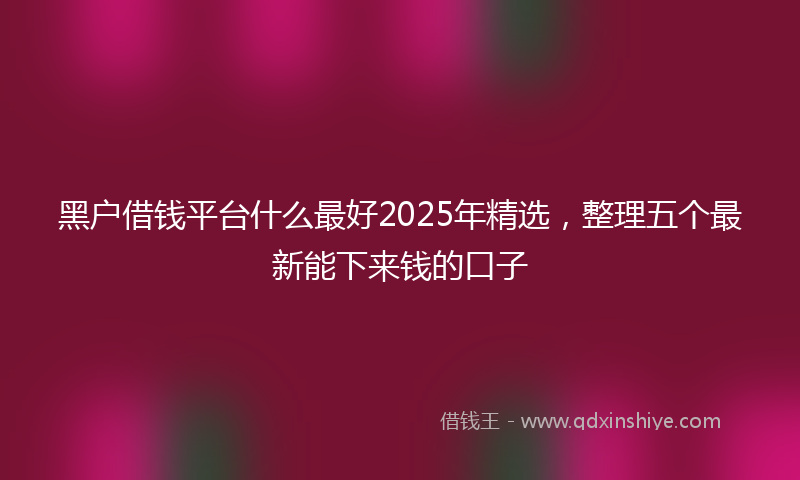黑户借钱平台什么最好2025年精选，整理五个最新能下来钱的口子