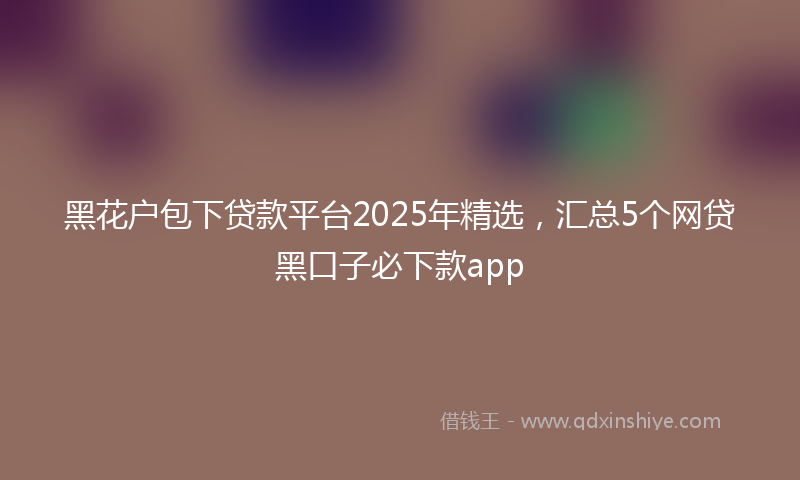 黑花户包下贷款平台2025年精选，汇总5个网贷黑口子必下款app