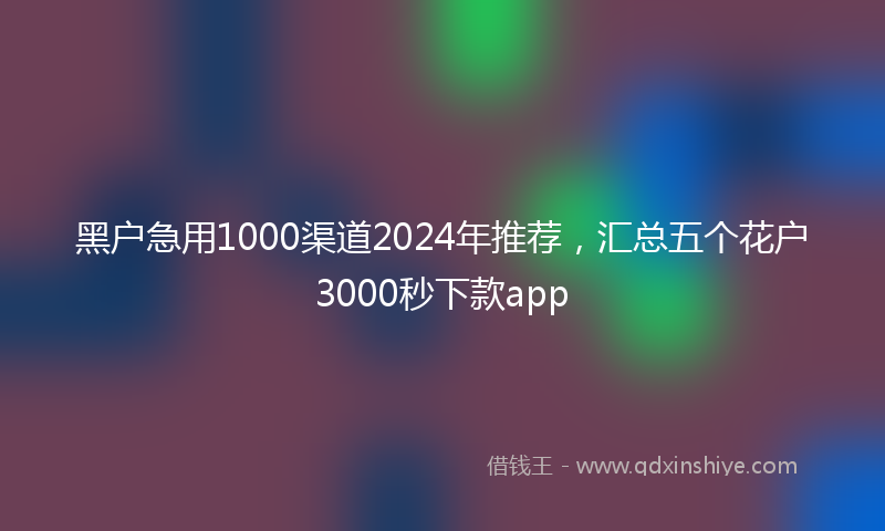 黑户急用1000渠道2024年推荐，汇总五个花户3000秒下款app