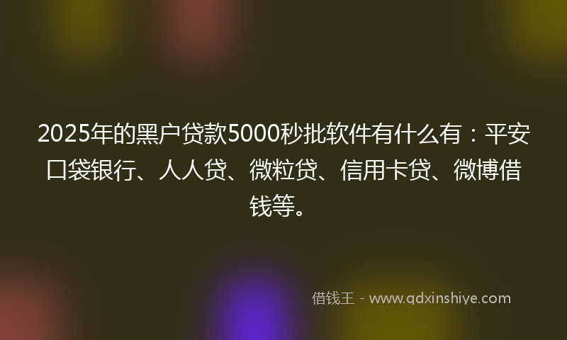 2025年的黑户贷款5000秒批软件有什么有：平安口袋银行、人人贷、微粒贷、信用卡贷、微博借钱等。