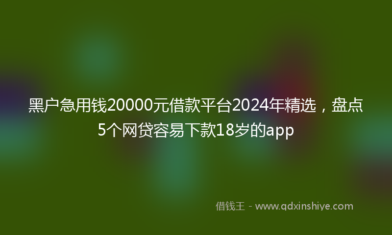 黑户急用钱20000元借款平台2024年精选,盘点5个网贷容易下款18岁的app