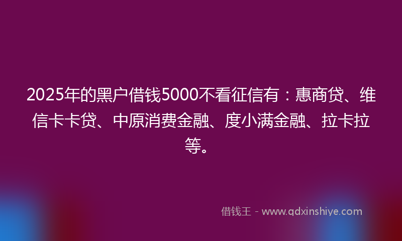 2025年的黑户借钱5000不看征信有：惠商贷、维信卡卡贷、中原消费金融、度小满金融、拉卡拉等。
