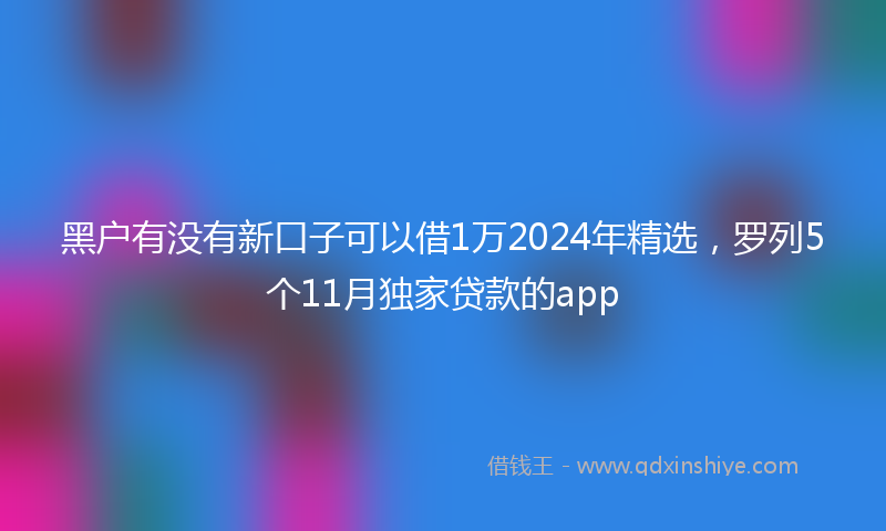 黑户有没有新口子可以借1万2024年精选，罗列5个11月独家贷款的app
