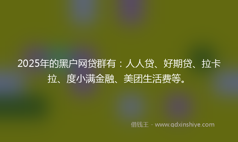 2025年的黑户网贷群有：人人贷、好期贷、拉卡拉、度小满金融、美团生活费等。