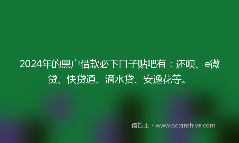 2024年的黑户借款必下口子贴吧有：还呗、e微贷、快贷通、滴水贷、安逸花等。