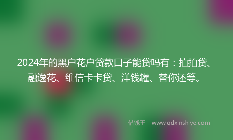 2024年的黑户花户贷款口子能贷吗有：拍拍贷、融逸花、维信卡卡贷、洋钱罐、替你还等。