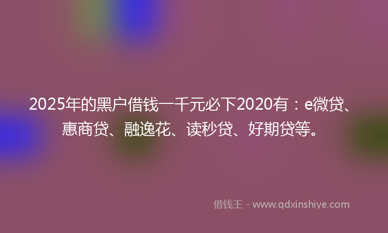 2025年的黑户借钱一千元必下2020有：e微贷、惠商贷、融逸花、读秒贷、好期贷等。