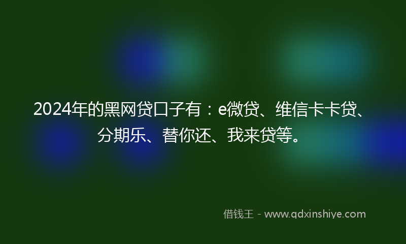 2024年的黑网贷口子有：e微贷、维信卡卡贷、分期乐、替你还、我来贷等。