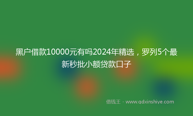 黑户借款10000元有吗2024年精选，罗列5个最新秒批小额贷款口子