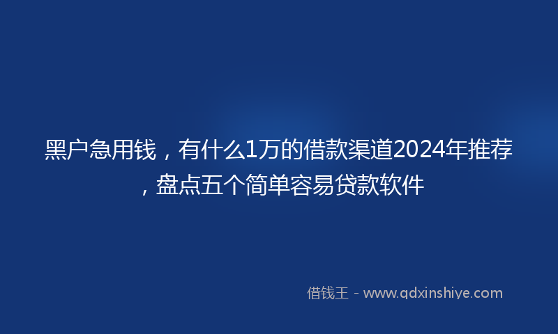 黑户急用钱，有什么1万的借款渠道2024年推荐，盘点五个简单容易贷款软件