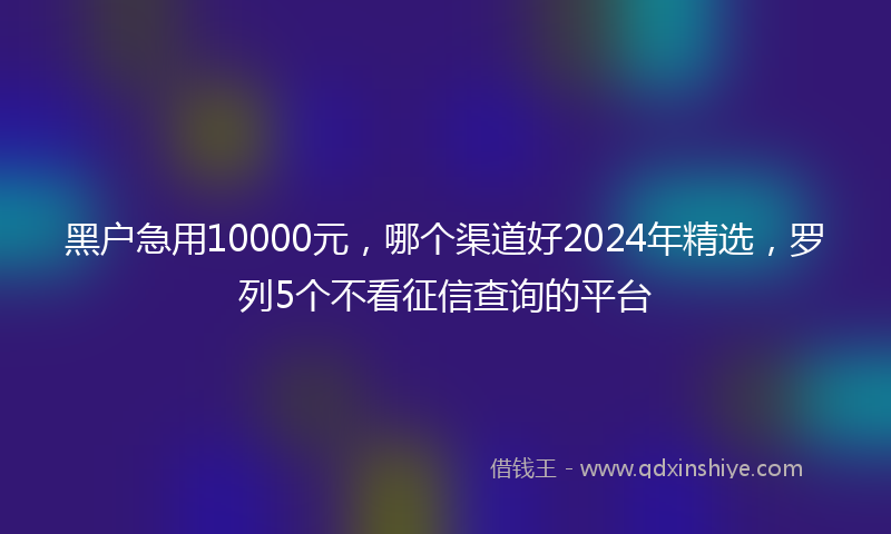 黑户急用10000元，哪个渠道好2024年精选，罗列5个不看征信查询的平台