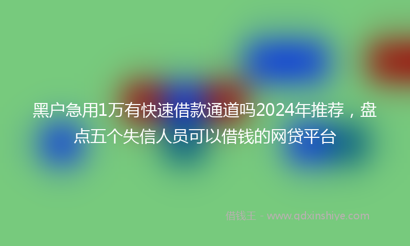 黑户急用1万有快速借款通道吗2024年推荐，盘点五个失信人员可以借钱的网贷平台