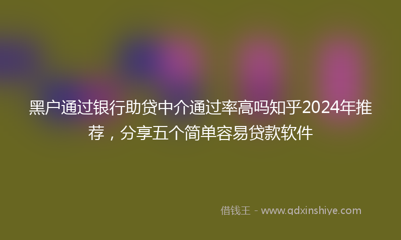 黑户通过银行助贷中介通过率高吗知乎2024年推荐，分享五个简单容易贷款软件